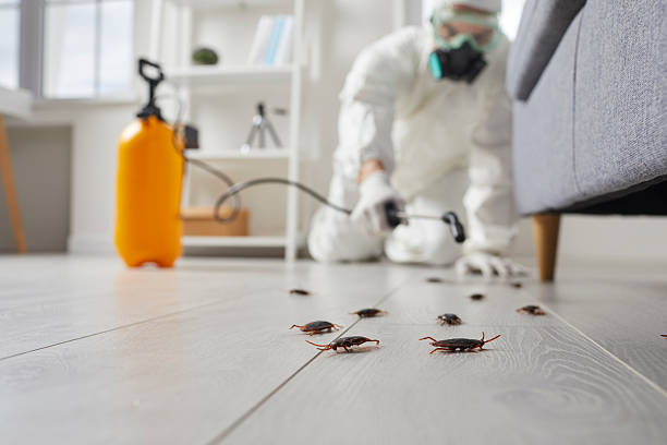 Trusted Cockroach Control service in Berry Creek, CA - Nex Pest Control