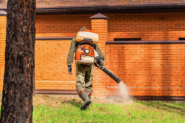 Trusted Termite Control service in Berry Creek, CA - Nex Pest Control